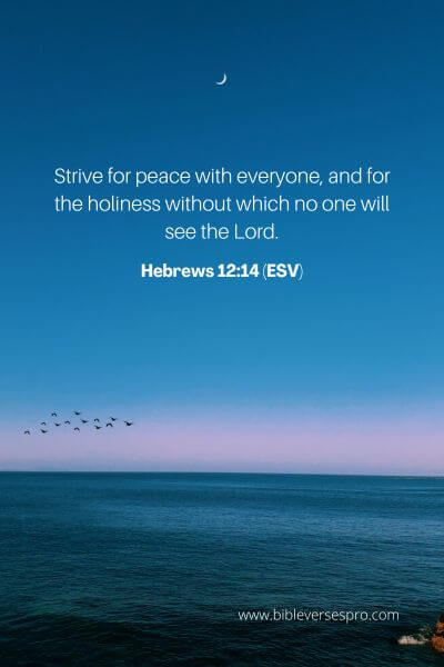 Hebrews 12_14 (ESV)