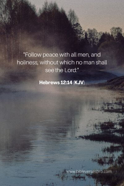 Hebrews 12_14 (KJV)