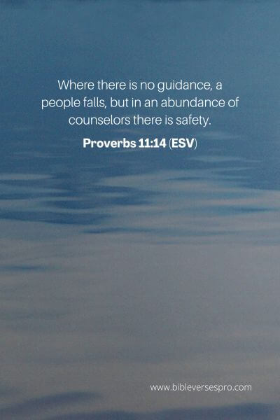 Proverbs 11_14 (ESV)