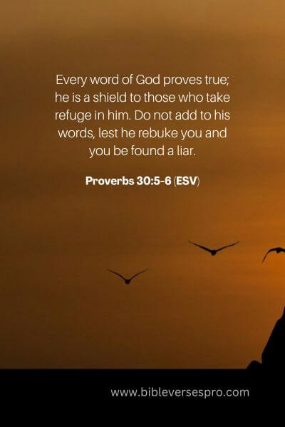 Proverbs 30_5-6 (ESV)