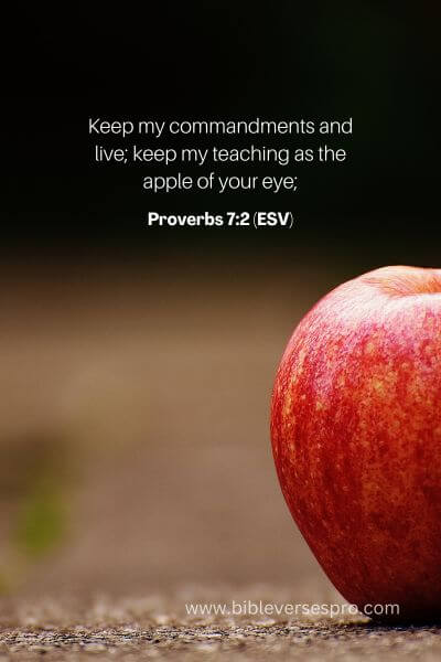 Proverbs 7_2 (ESV)