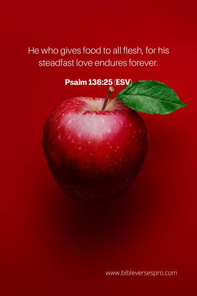 Psalm 136_25 (ESV)