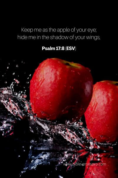 Psalm 17_8 (ESV)