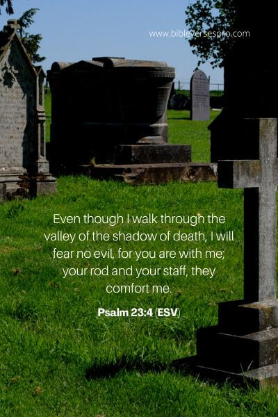 Psalm 23_4 (ESV)