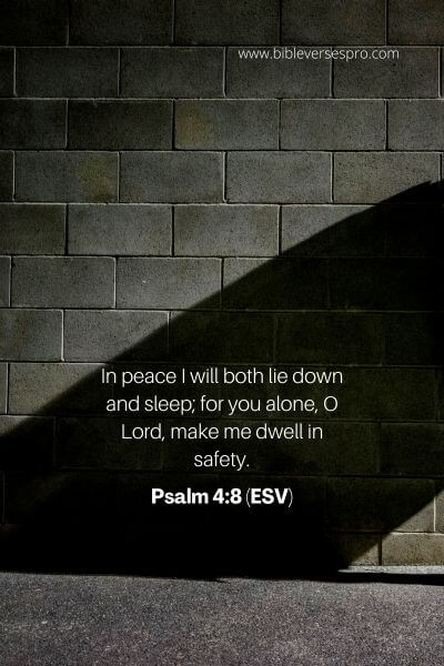 Psalm 4_8 (ESV)