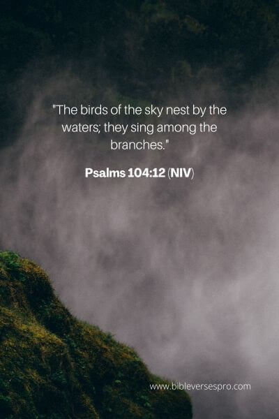 Psalms 104_12 (NIV)