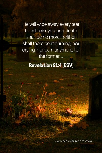 Revelation 21_4 (ESV)