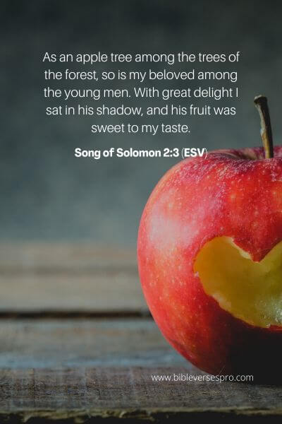 Song of Solomon 2_3 (ESV)