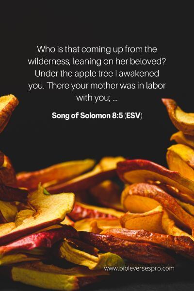 Song of Solomon 8_5 (ESV)