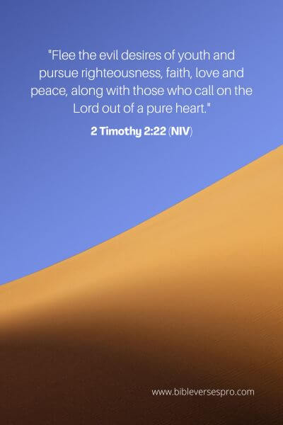 2 Timothy 2_22 (NIV)