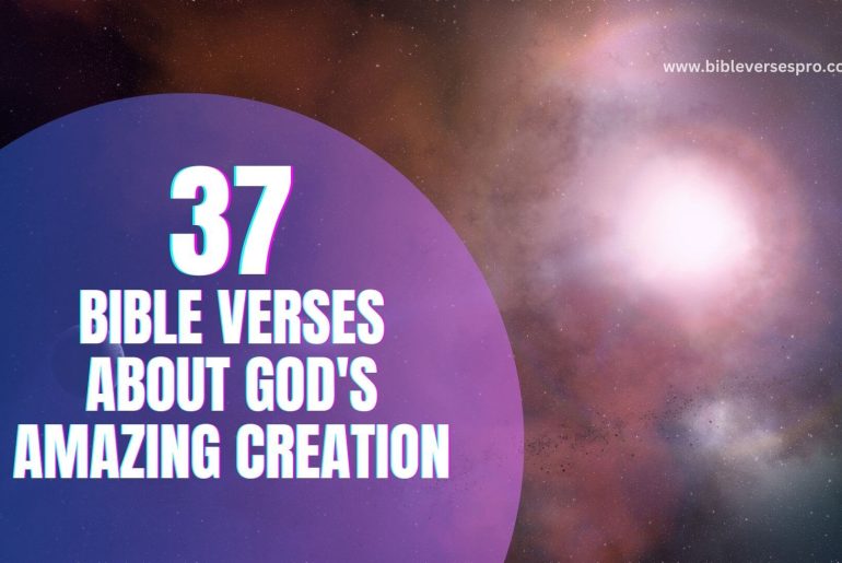 37 Important Bible Verses About God s Amazing Creation