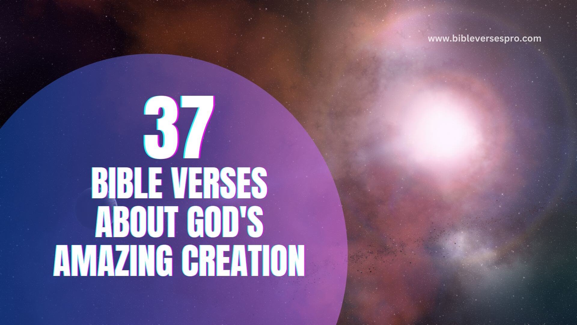 37 Important Bible Verses About God s Amazing Creation