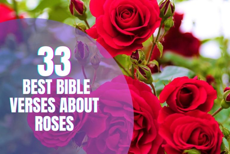 33-best-bible-verses-about-roses-bible-verses