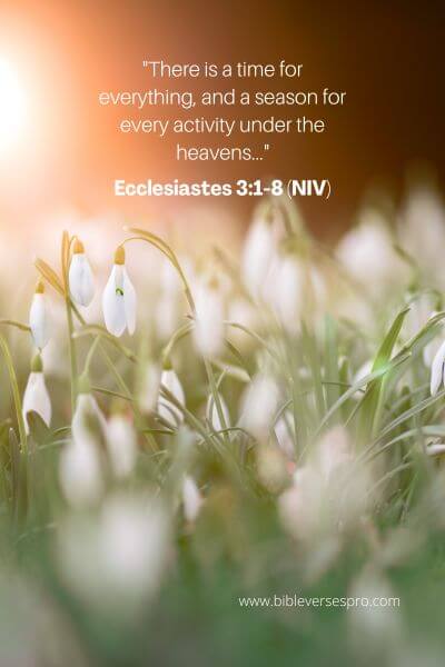 Ecclesiastes 3_1-8 (NIV)