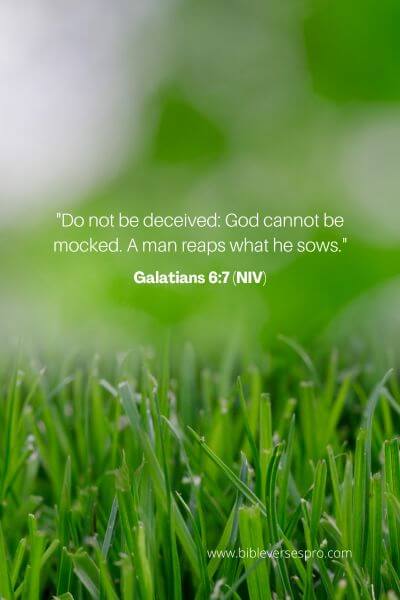 Galatians 6_7 (NIV)