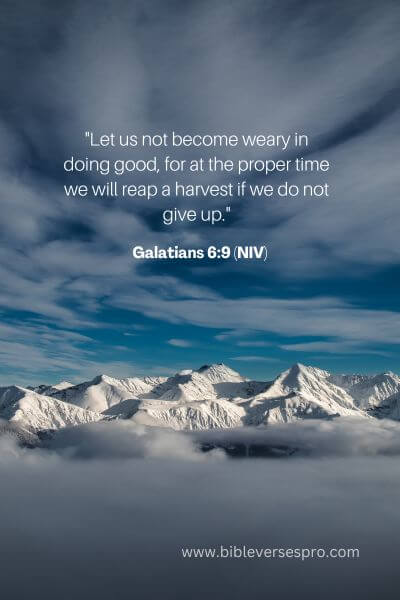 Galatians 6_9 (NIV)