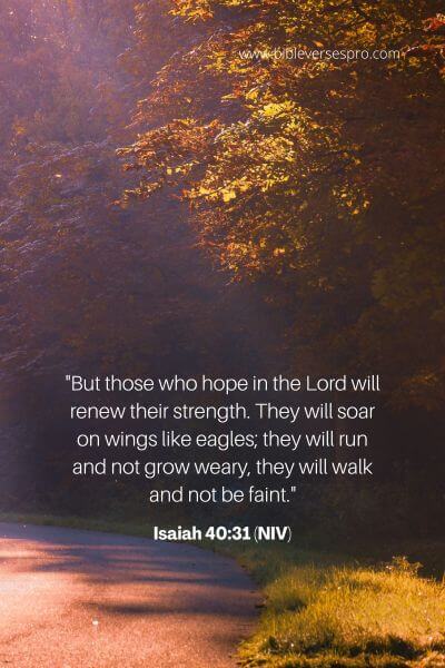 Isaiah 40_31 (NIV)