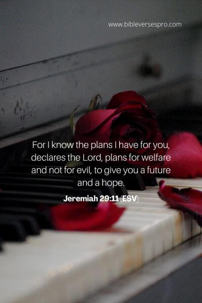Jeremiah 29_11 (Esv)
