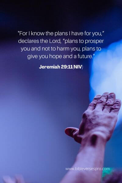 Jeremiah 29_11(NIV)