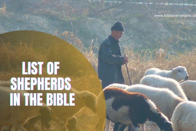 important-list-of-shepherds-in-the-bible-and-significance