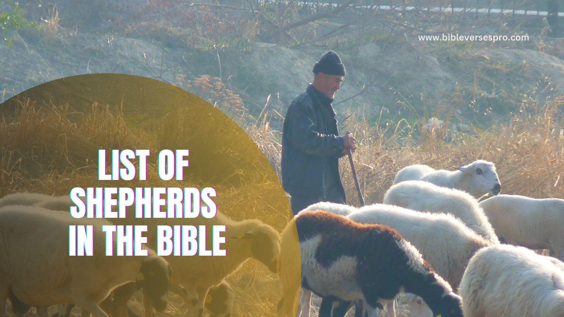 LIST OF SHEPHERDS IN THE BIBLE (1)