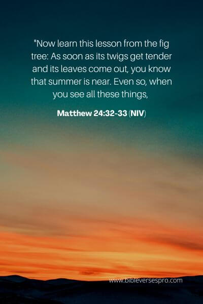 Matthew 24_32-33 (NIV)