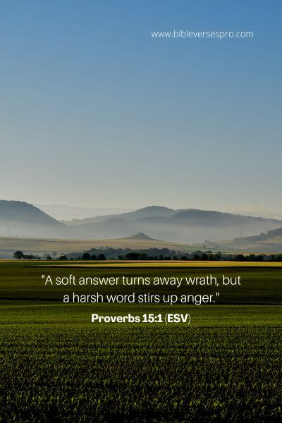 Proverbs 15_1 (Esv)