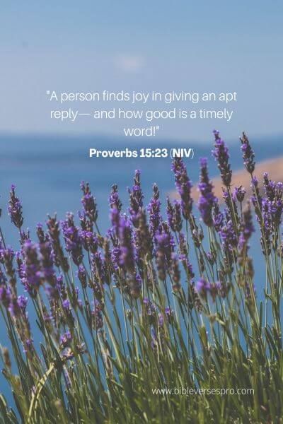 Proverbs 15_23 (NIV)