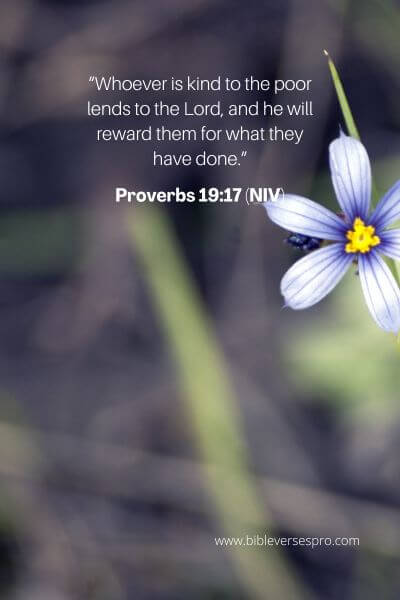 Proverbs 19_17 (NIV)