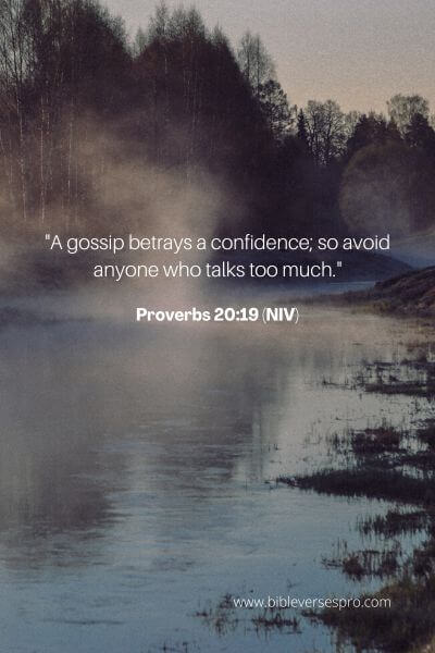 Proverbs 20_19 (NIV)