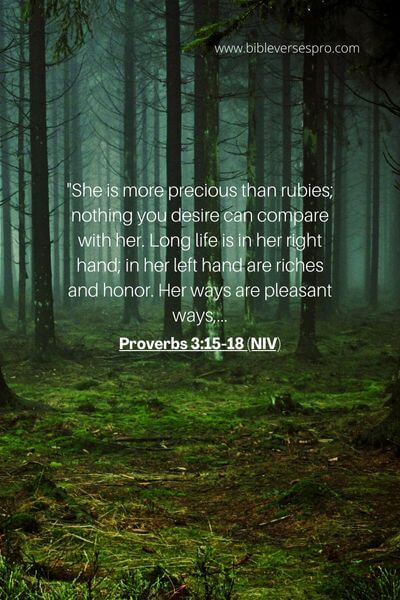 Proverbs 3_15-18 (NIV)