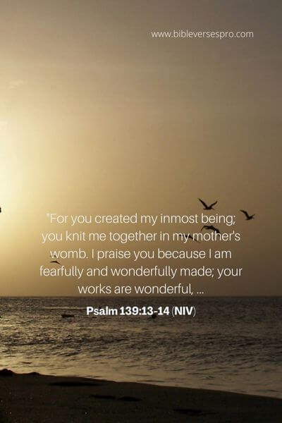 Psalm 139_13-14 (NIV)