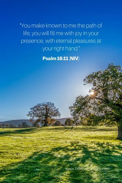 Psalm 16_11 (NIV)