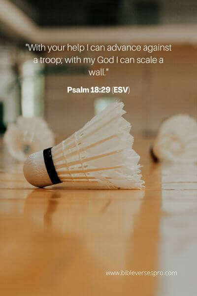 Psalm 18_29 (ESV)