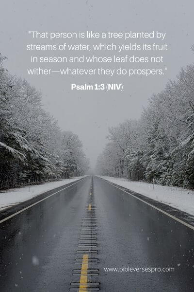 Psalm 1_3 (NIV)