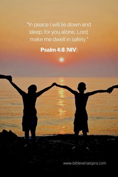 Psalm 4_8 (NIV)