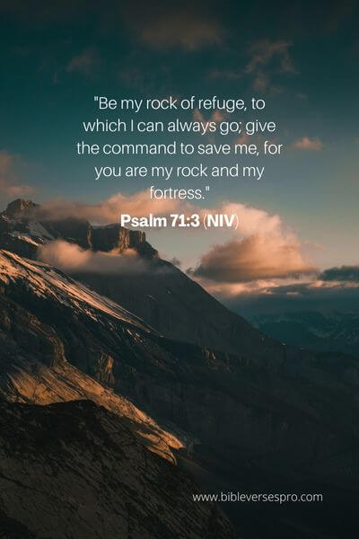 Psalm 71_3 (NIV)