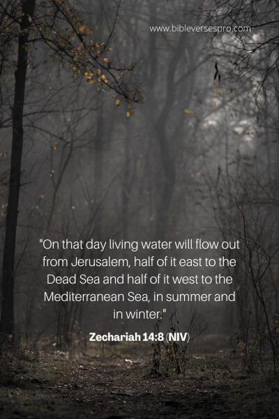 Zechariah 14_8 (NIV)