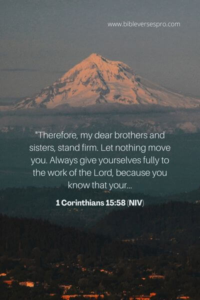 1 Corinthians 15_58 (NIV)