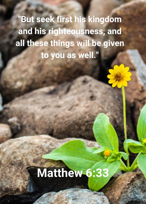 Matthew 6_33