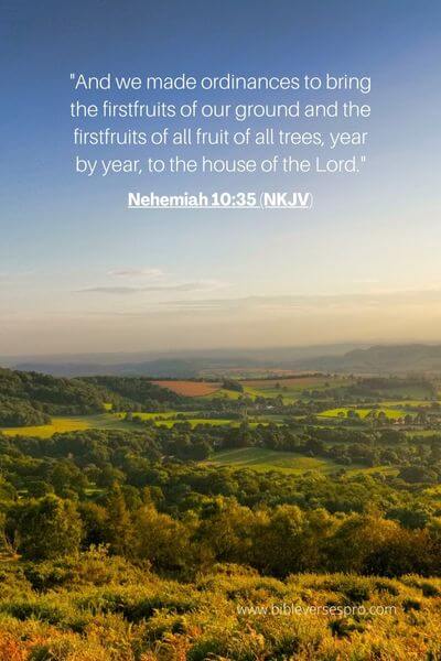 Nehemiah 10_35 (Nkjv)