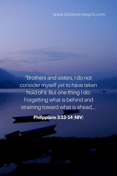 Philippians 3_13-14 (NIV)