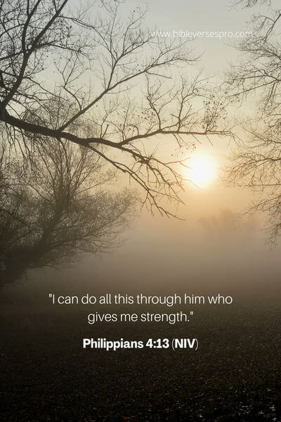 Philippians 4_13 (Niv)