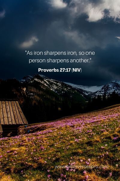 Proverbs 27_17 (NIV)