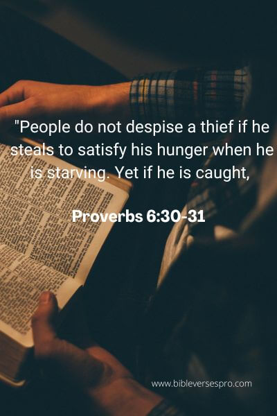 Proverbs 6:30-31