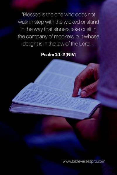 Psalm 1_1-2 (NIV)