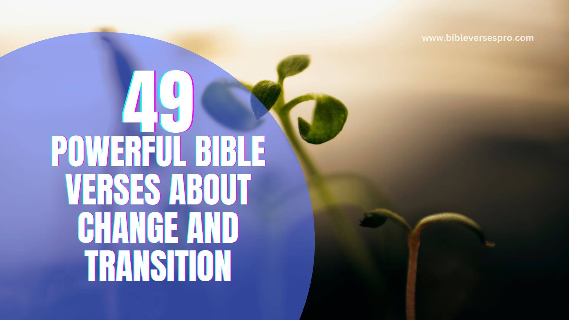 Powerful Bible Verses About Change And Transition